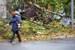 Wichura w łódzkim. Bez prądu pozostaje 53 tys. mieszkańców