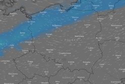 Pogoda na weekend. Będzie słonecznie, niedziela może rozczarować deszczem