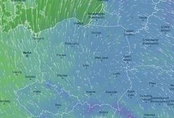 Pogoda. Tąpnięcie temperatury. Gruba warstwa śniegu