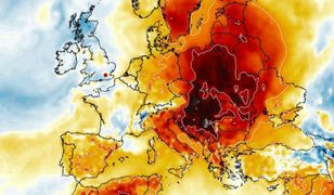 Pogoda szaleje. Nadciąga biskajskie ciepło. Temperatura lokalnie nawet 20 stopni