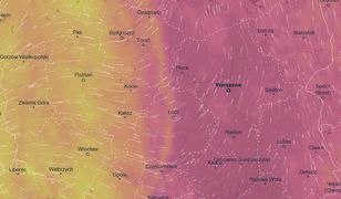 Pogoda na weekend. Żar leje się z nieba, a burze będą niszczyły miasta