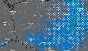 Mróz, śnieg i burze. "Pogoda da nam popalić"
