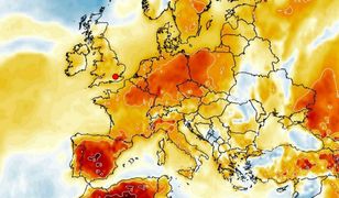 Pogoda. Mocna poprawa. Najcieplejszy dzień w tym tygodniu. Potem znów zimno