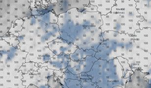 Uwaga na gęste mgły! Miejscami widzialność do 50 m