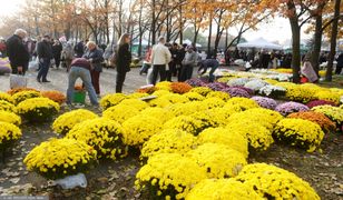 Pogoda na Wszystkich Świętych. Najnowsza prognoza na 1 listopada
