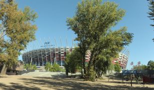 Pogoda na czwartek. Ciepły i słoneczny dzień w Warszawie