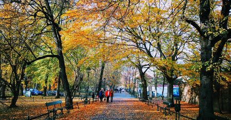 Pogoda na dziś. Słonecznie, ale chłodno. Jaka prognoza na weekend? Sprawdź