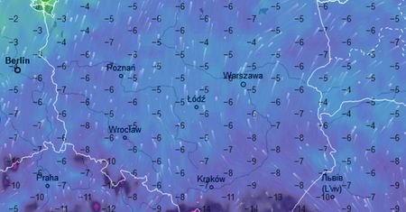 Alert pogodowy. Zmrozi całą Polskę - minus 14 st. C