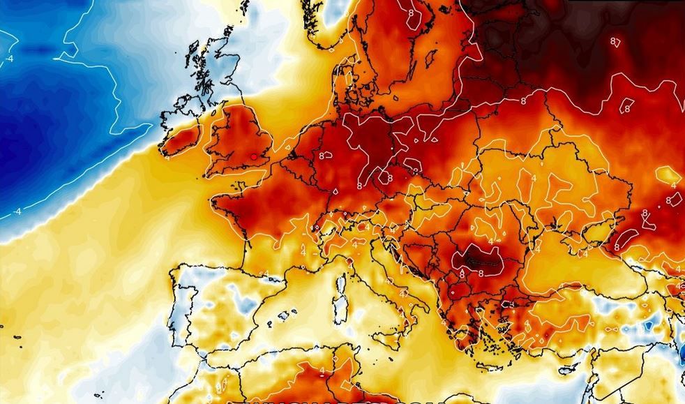 Pogoda zwariowała. Temperatura znów pnie się w górę