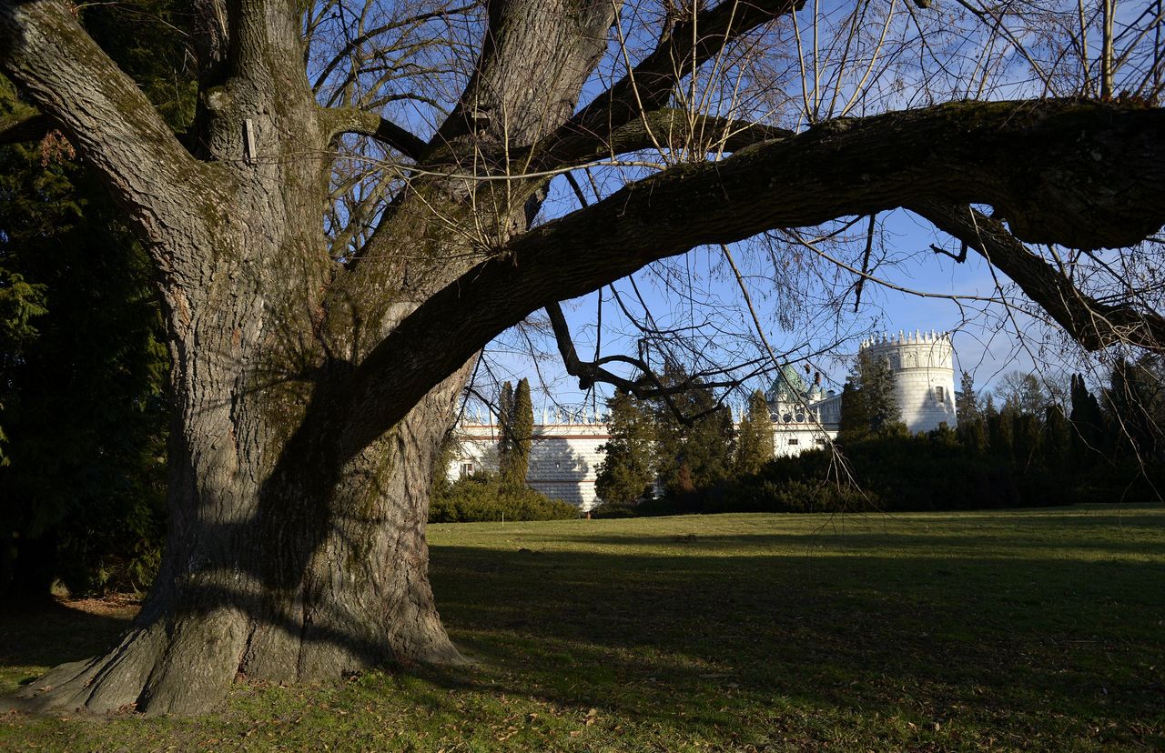 Prognoza pogody na dziś - 26 lutego. Pogodnie i słonecznie, do 11 stopni