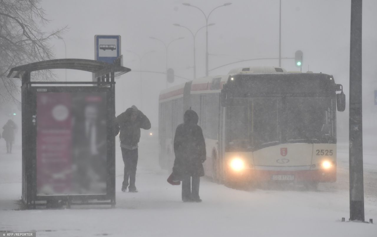 Zima 2019. Według synoptyków czeka nas "zima trzydziestolecia". Nawet minus 20 stopni