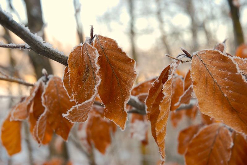 Pogodowa huśtawka. Zima, trochę wiosny i... syberyjskie mrozy