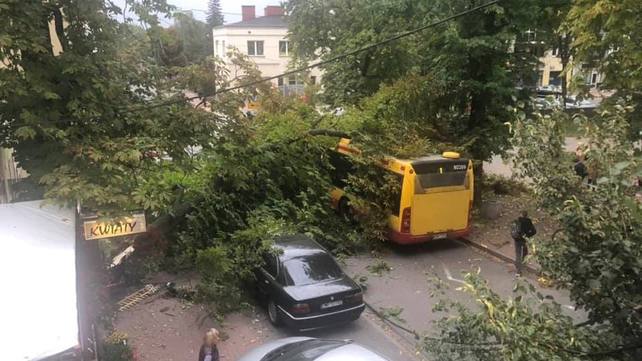 Mazowsze. Straż pożarna interweniowała ponad 100 razy. W Pruszkowie drzewa przewróciło się na autobus, samochód i linię energetyczną