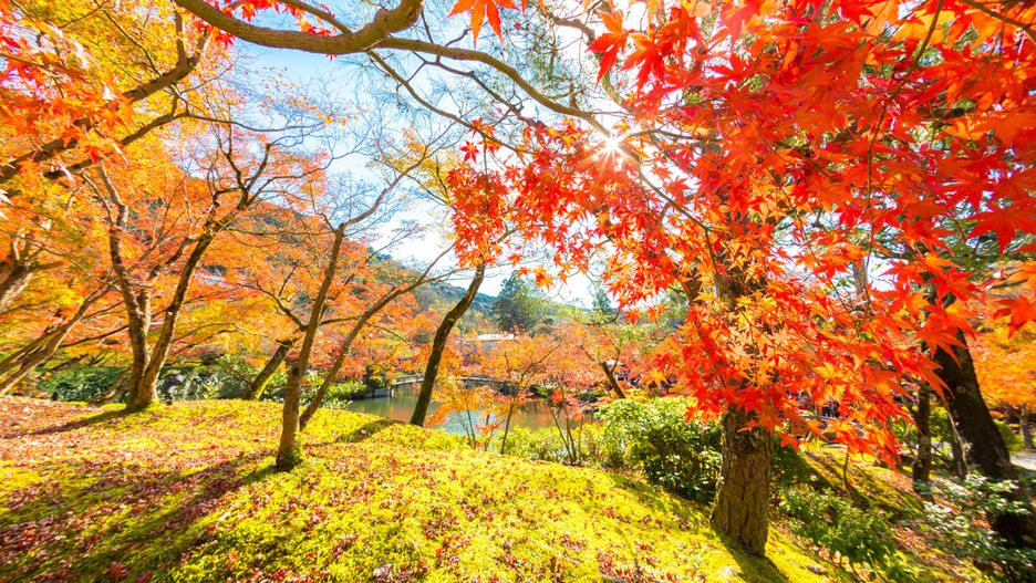 Tak pięknej i ciepłej jesieni nie było od dawna