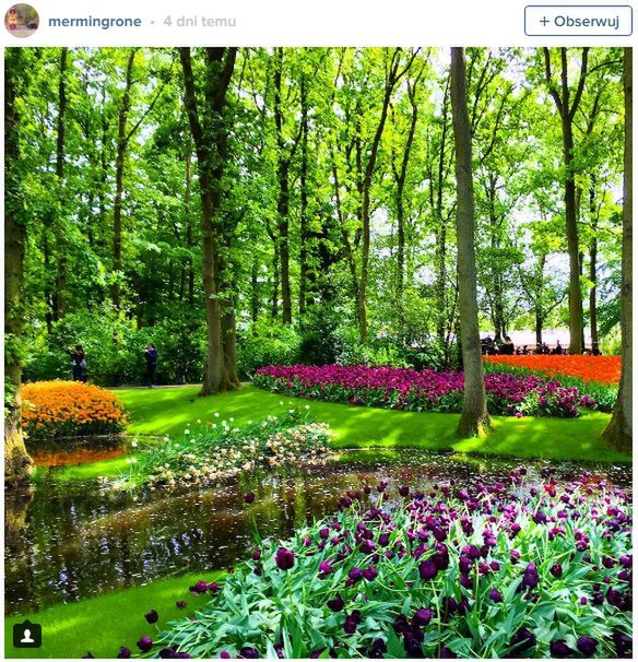 Keukenhof Gardens, Holandia