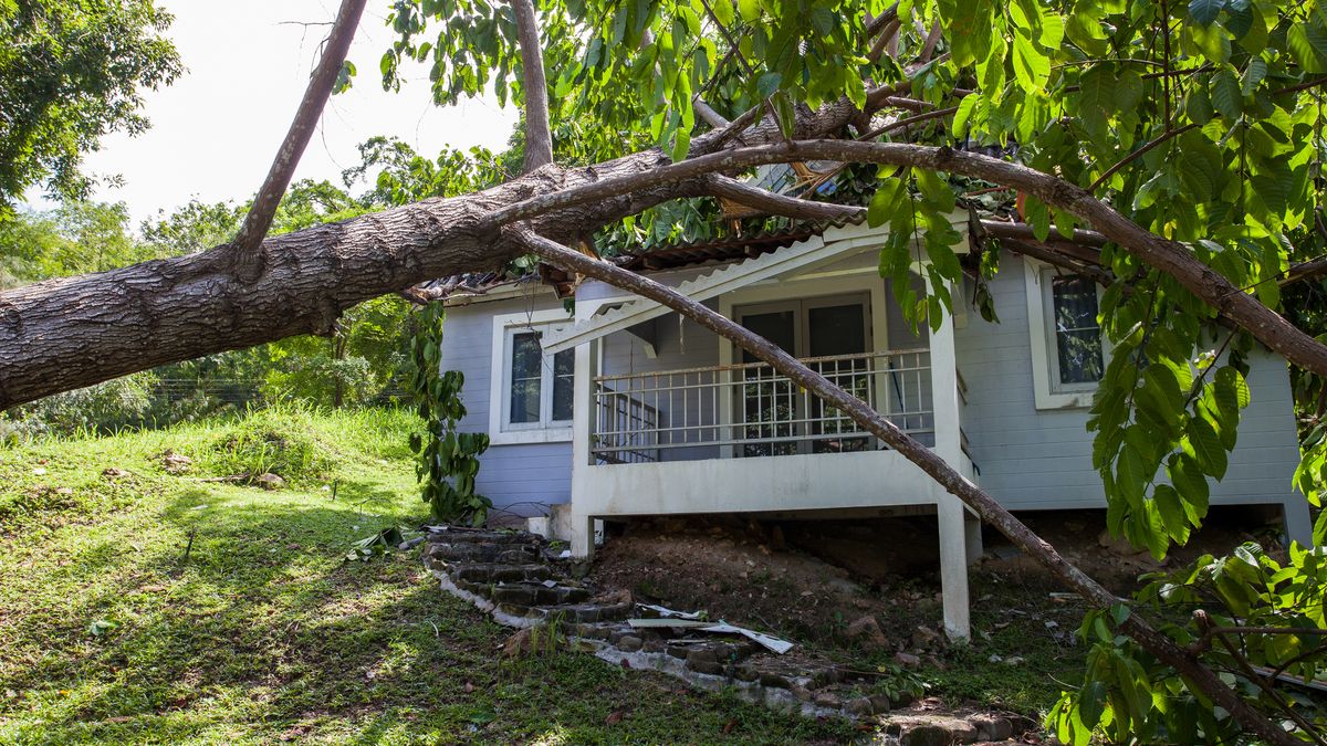 Czas na ogród w twoim stylu
