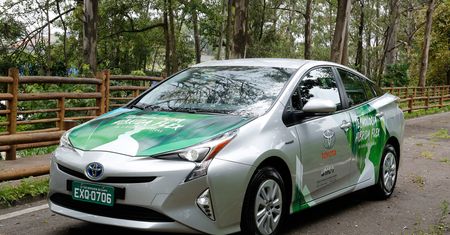 Toyota opracowała hybrydę na alkohol. Pojedzie na trzcinę