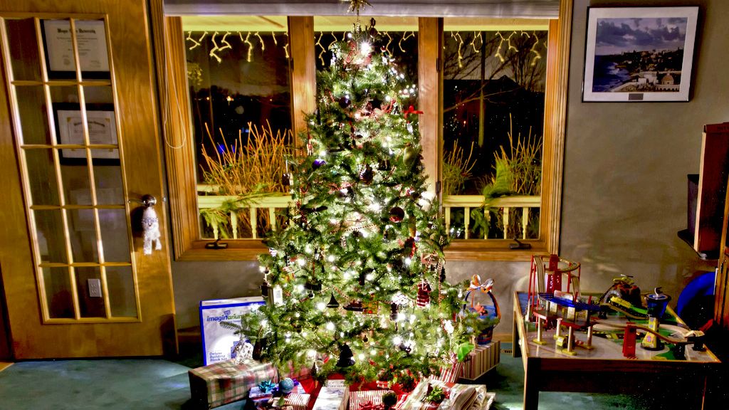 Tradycja ubierania świątecznej choinki pojawiła się w naszym kraju dopiero w XIX w.