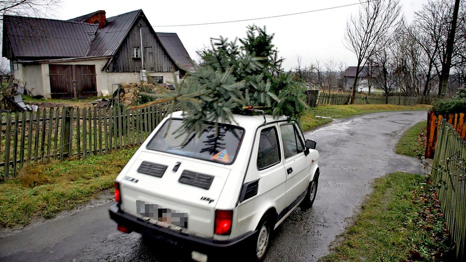 Choinka na dachu auta? To może być kosztowne rozwiązanie