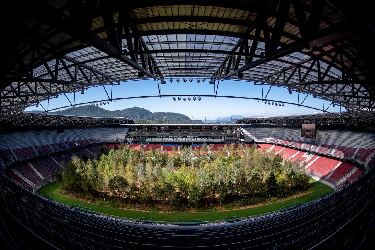 Austriacki stadion piłkarski z lasem na boisku [ZDJĘCIA]
