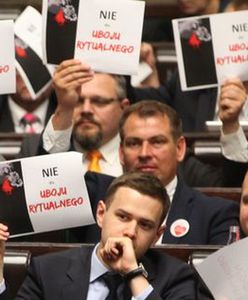 Mularczyk w sprawie uboju rytualnego: likwiduje się miejsca pracy