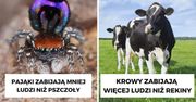 20 zwierząt-zabójców. To one najczęściej doprowadzają do śmierci ludzi