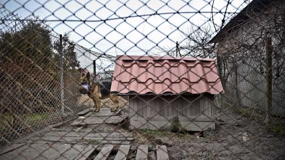 Grozi mu do 5 lat więzienia (zdjęcie ilustracyjne)