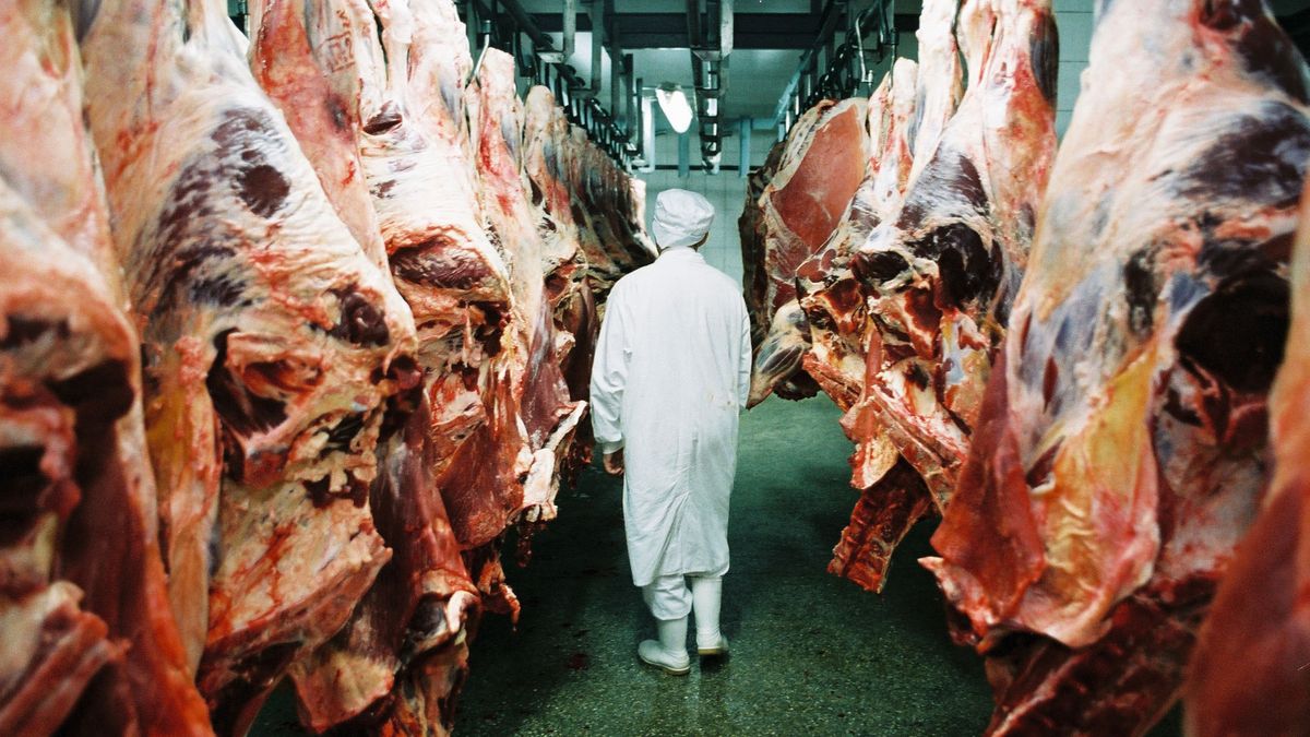 Ubojnie i rzeźnie będą musiały instalować całodobowy monitoring