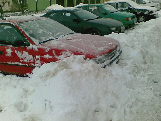 Obraz
