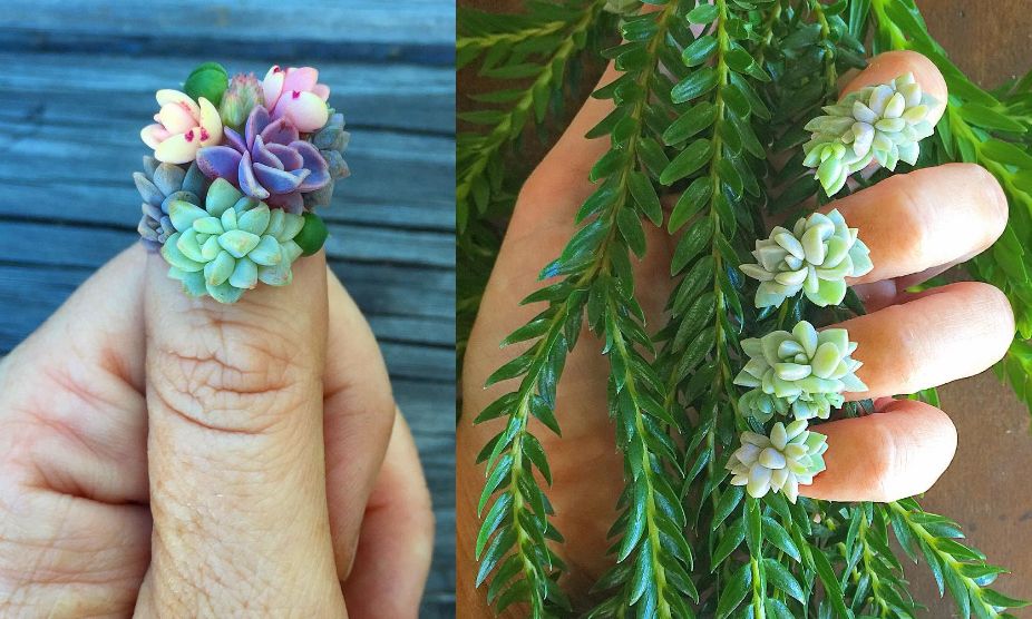 Żywe rośliny na paznokciach. Nietypowy manicure