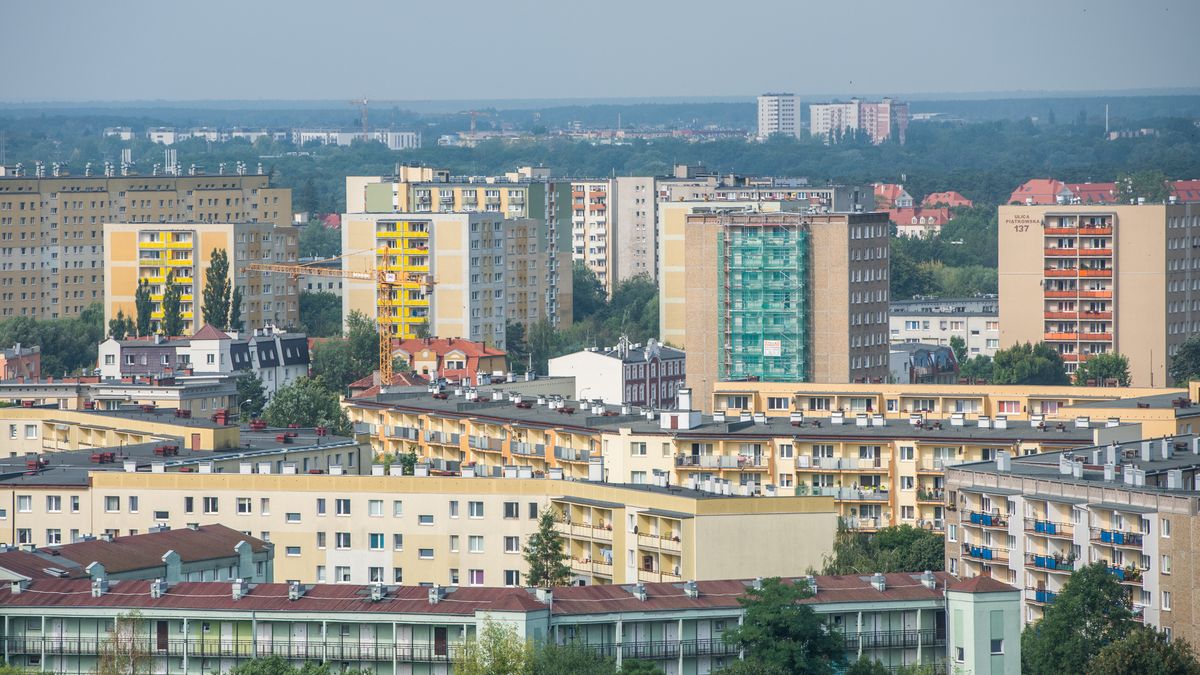 Ostatnio mieszkania schodzą na pniu.