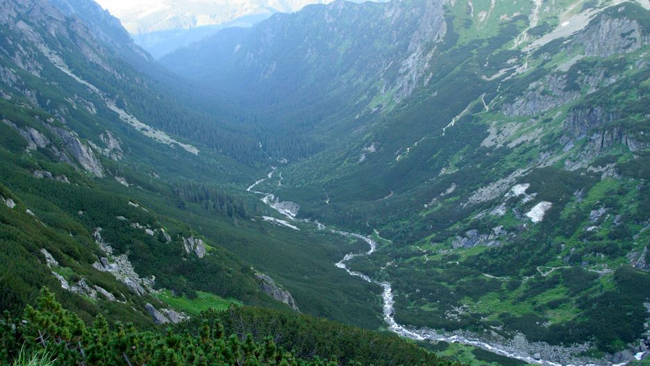 W Dolinie Roztoki znaleziono m.in. czaszkę