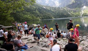 Tatry. Jeleń wśród turystów. Spacerował nad Morskim Okiem