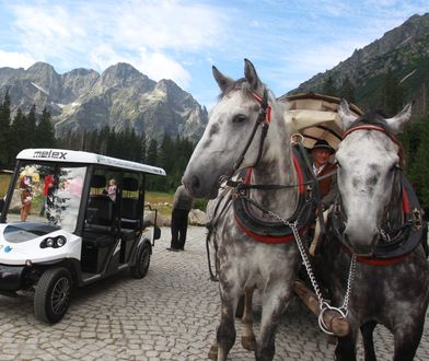 Morskie Oko. Wozy z silnikiem elektrycznym mogą zastąpić konie