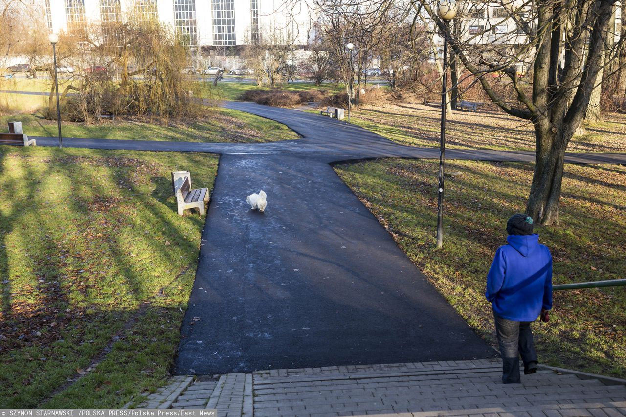 Warszawa. Park Morskie Oko zalany tonami asfaltu. "Prace za zgodą konserwatora"