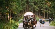 Fiakrzy z Morskiego Oka skazani. Znęcali się nad końmi