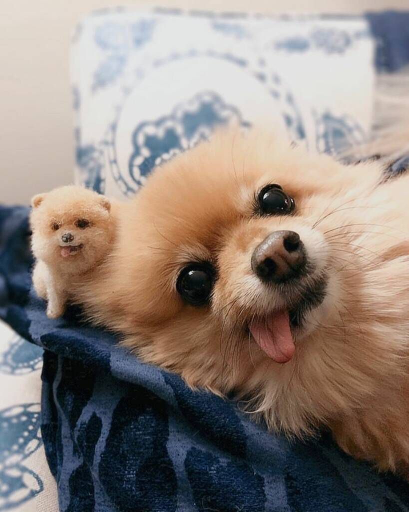 littlefeltedfriends/Instagram