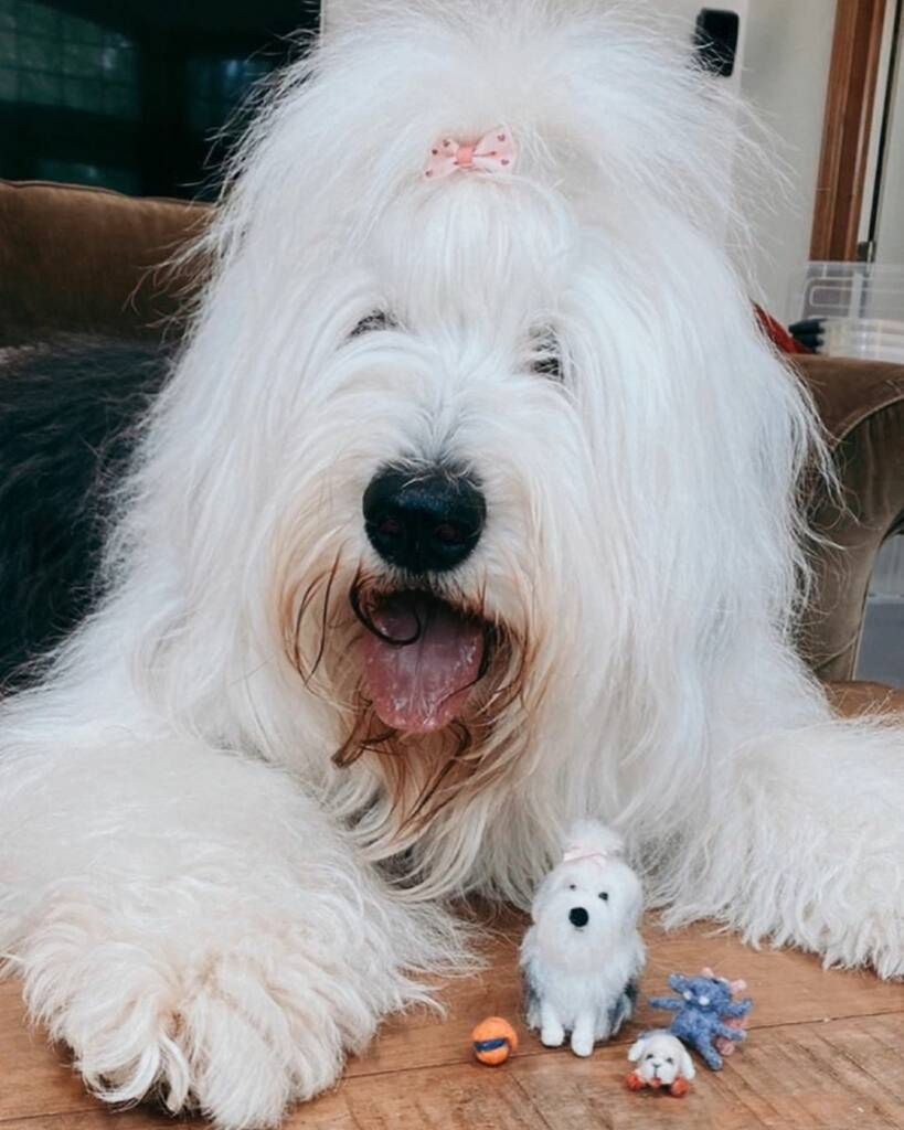 littlefeltedfriends/Instagram
