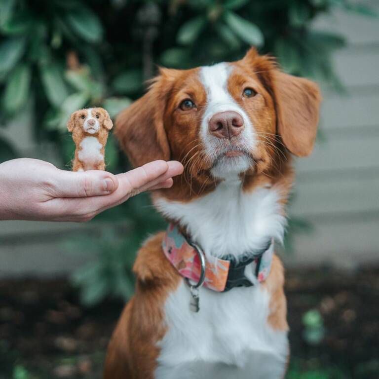 littlefeltedfriends/Instagram