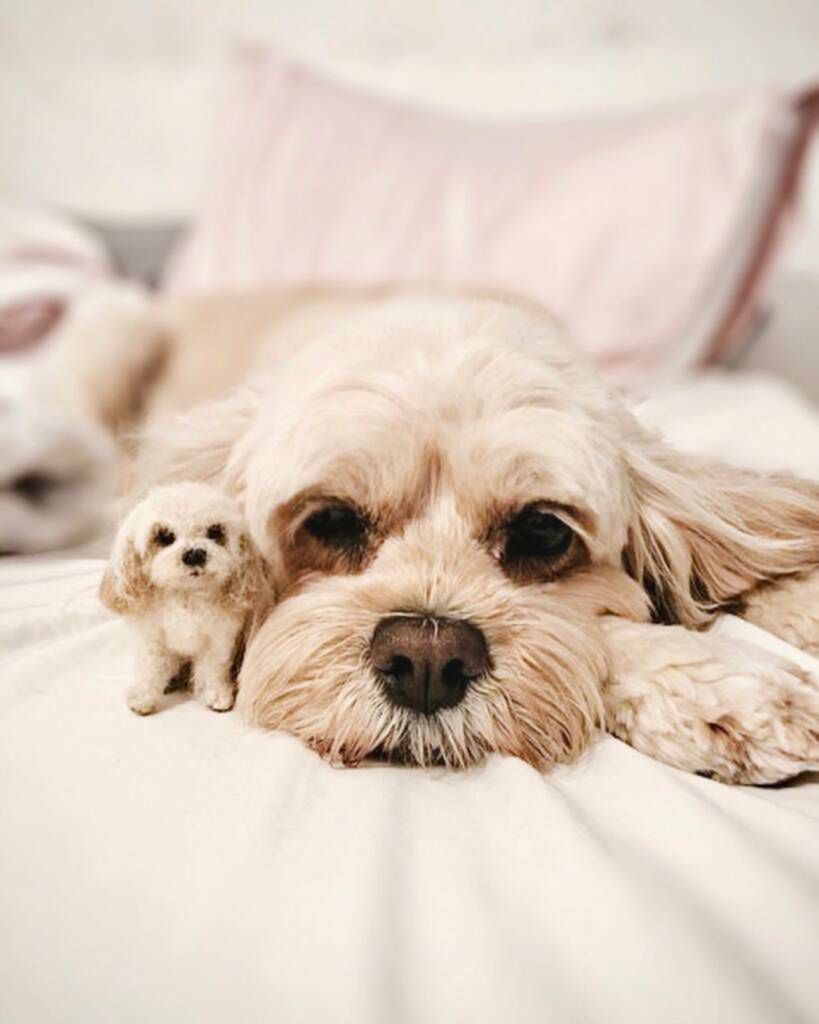 littlefeltedfriends/Instagram