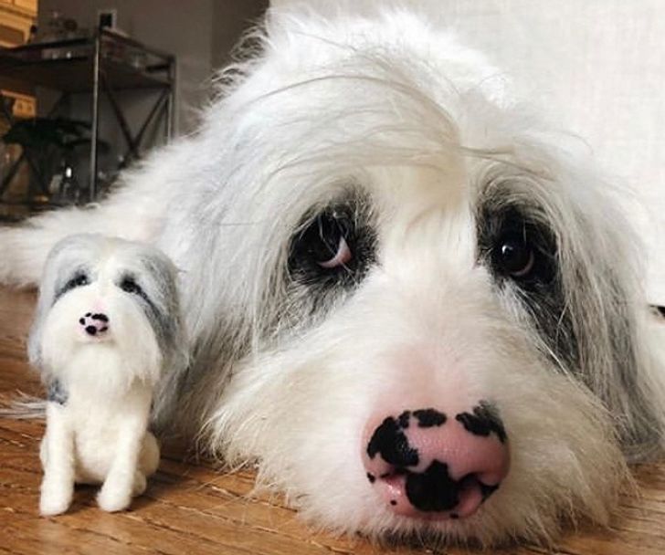 littlefeltedfriends/Instagram