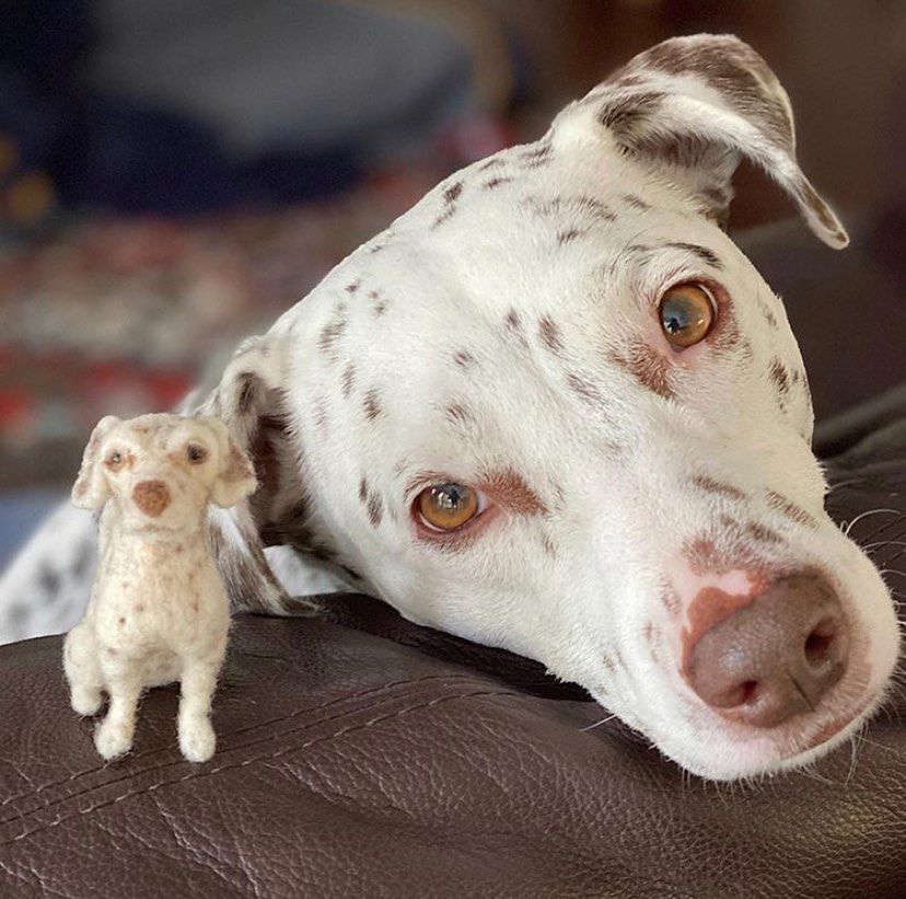 littlefeltedfriends/Instagram