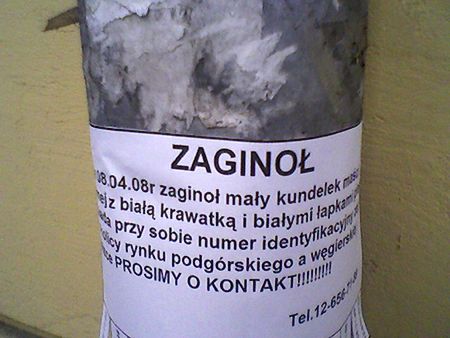 Obraz