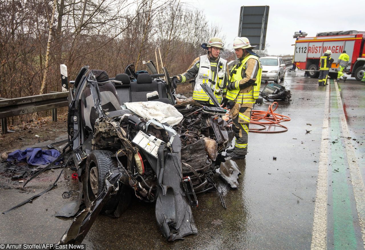 Tragedia w Niemczech. Nie żyje trzech Polaków. Ich auto zderzyło się czołowo z ciężarówką przewożącą świnie