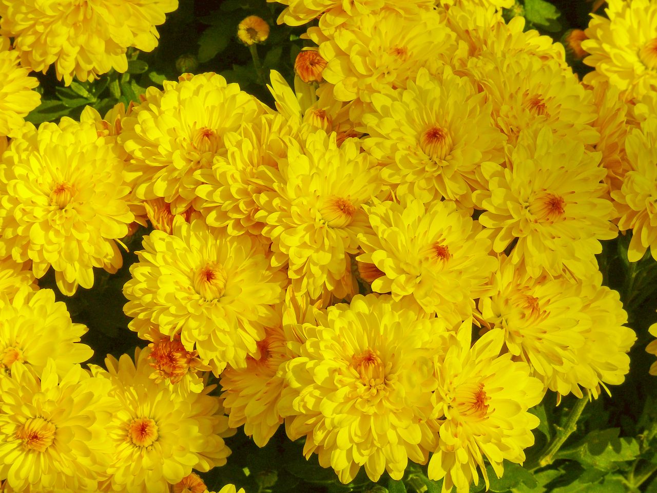 Co wiesz o żółtym kolorze? To nie takie proste!