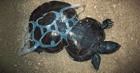 Pożegnanie z plastikiem. Wkrótce koniec z plastikowymi kubeczkami, patyczkami do uszu i słomkami