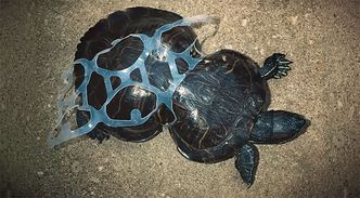 Pożegnanie z plastikiem. Wkrótce koniec z plastikowymi kubeczkami, patyczkami do uszu i słomkami