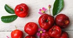 Acerola - wiśnia z Barbados