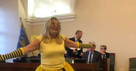 Nietypowy strój radnej na sesji rady miasta Poznań. Przebrała się za pszczołę