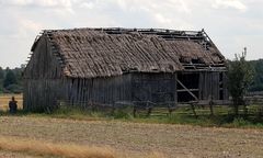 Odkryto masowy grób niemieckich żołnierzy w woj. zachodniopomorskim. "Kości są nadpalone"